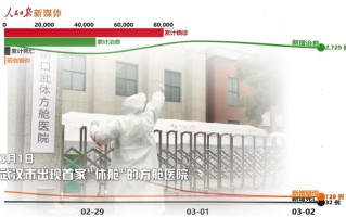 战疫数据分析，战疫数据分析报告