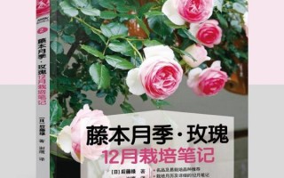 玫瑰繁殖技术，玫瑰繁殖技术视频